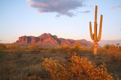 Arizona-desert