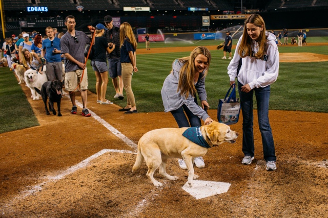 Bark in the Park