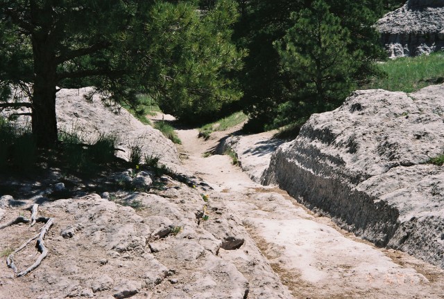 oregon_trail_wagon_ruts_-_panoramio