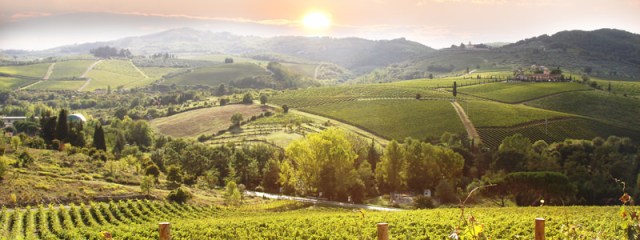 Italy Vineyard Generic